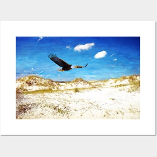 Bald Eagle on Cumberland Island Posters and Art